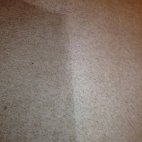 able-carpet-cleaning-longview-tx_21